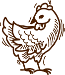Fresh Chicken Meats